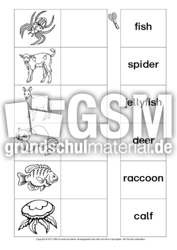 AB-animals-Zuordnung 9.pdf
